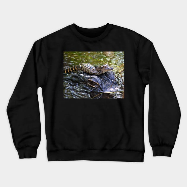 Going for a Ride Crewneck Sweatshirt by SandroAbate